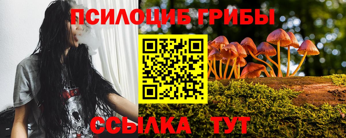 Псилоцибиновые грибы Magic Shrooms  Псилоцибиновые грибы Psilocybine cubensis  Вход с VPN  Петрозаводск 